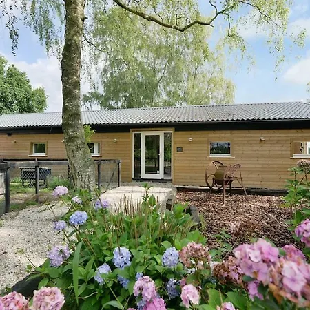 Bed & Breakfast Bos En Beek Ulvenhout